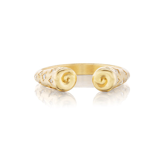 Open Galaxy Ring